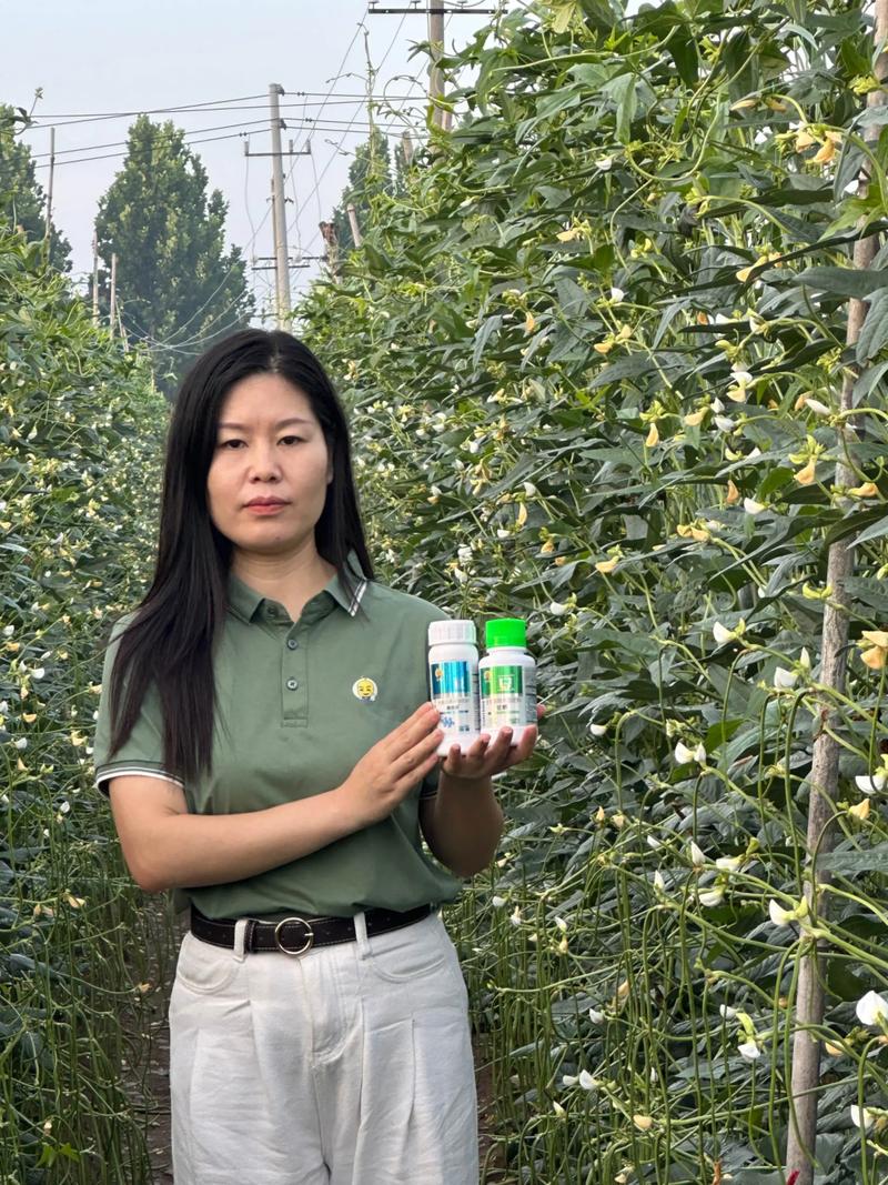 探索有机谷物的健康魅力